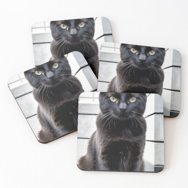 Item preview, Animals - Elegant Black Cat, Close-Up Feline Portrait designed and sold by World-Pets.