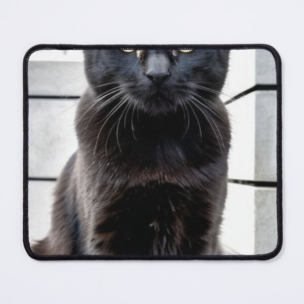 Item preview, Animals - Elegant Black Cat, Close-Up Feline Portrait designed and sold by World-Pets.