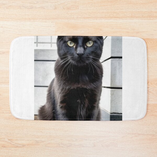 Item preview, Animals - Elegant Black Cat, Close-Up Feline Portrait designed and sold by World-Pets.