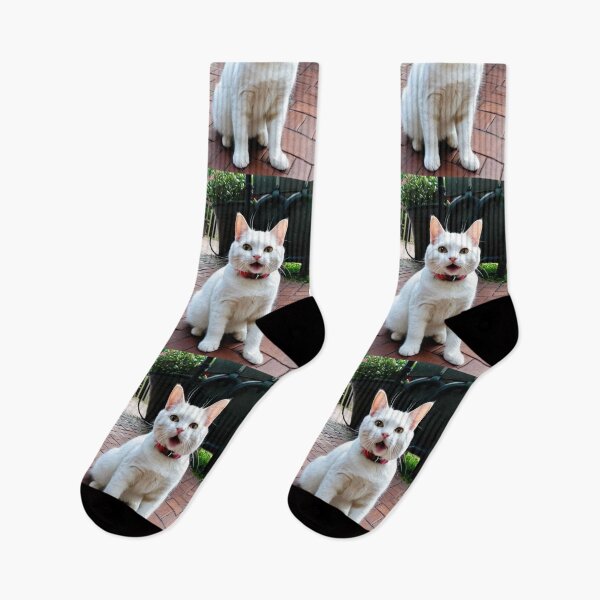 Item preview, Animals - Expressive White Cat, Amusing Garden Scene designed and sold by World-Pets.