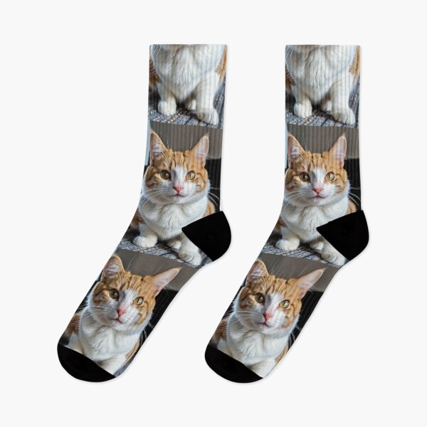Item preview, Animals - Ginger and White Cat, Captivating Feline Portrait designed and sold by World-Pets.
