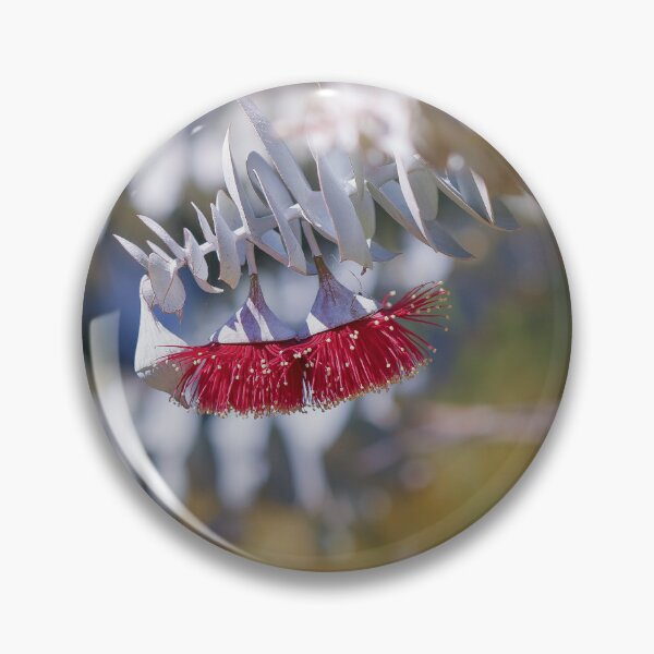 Item preview, Rose Mallee Eucalyptus Rhodantha - Rare Fine Art Botanical designed and sold by MinzMarchStudio.