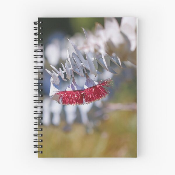 Item preview, Rose Mallee Eucalyptus Rhodantha - Rare Fine Art Botanical designed and sold by MinzMarchStudio.