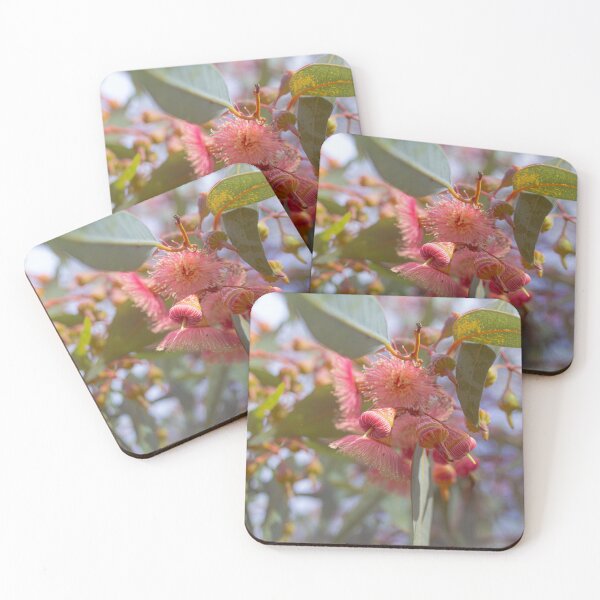 Item preview, Coral Gum Eucalyptus Torquata - Soft Pastel Native Floral designed and sold by MinzMarchStudio.