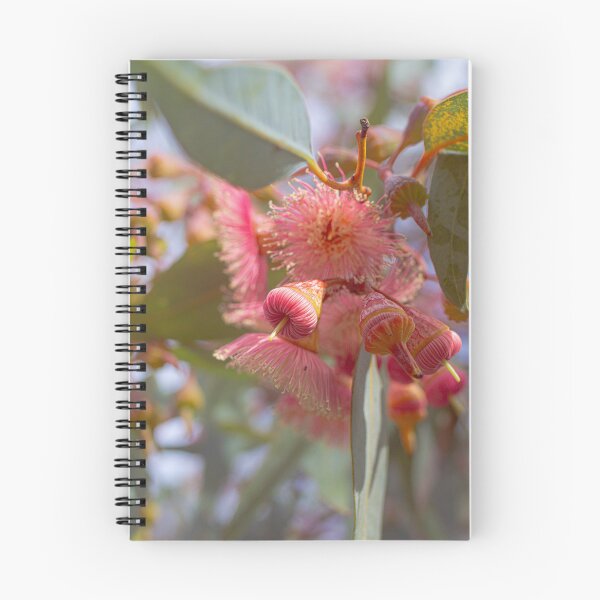 Item preview, Coral Gum Eucalyptus Torquata - Soft Pastel Native Floral designed and sold by MinzMarchStudio.