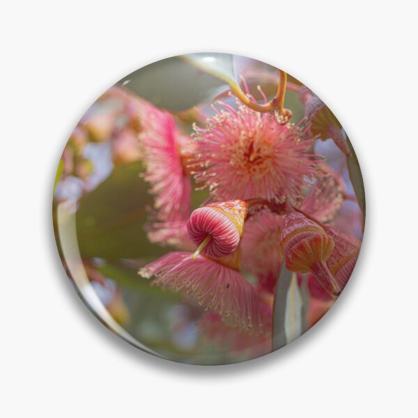 Item preview, Coral Gum Eucalyptus Torquata - Soft Pastel Native Floral designed and sold by MinzMarchStudio.