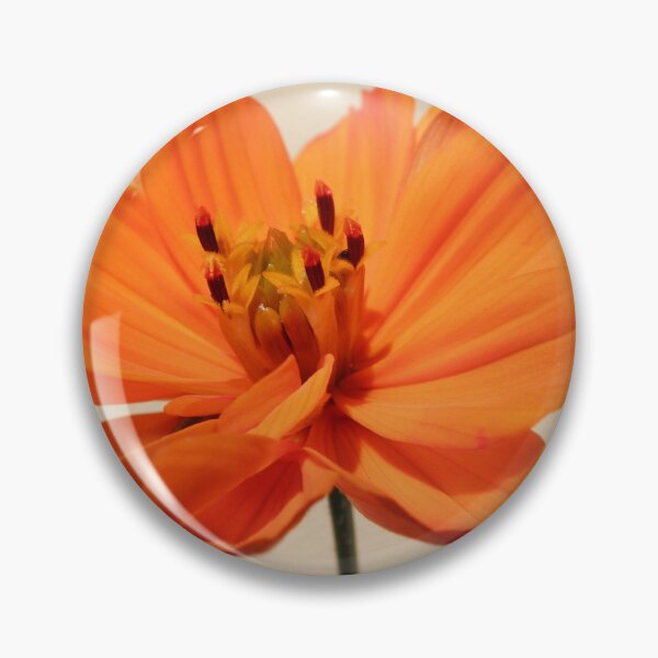 Item preview, cosmea orange designed and sold by birgitsfotoshop.