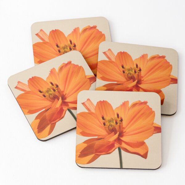 Item preview, cosmea orange designed and sold by birgitsfotoshop.
