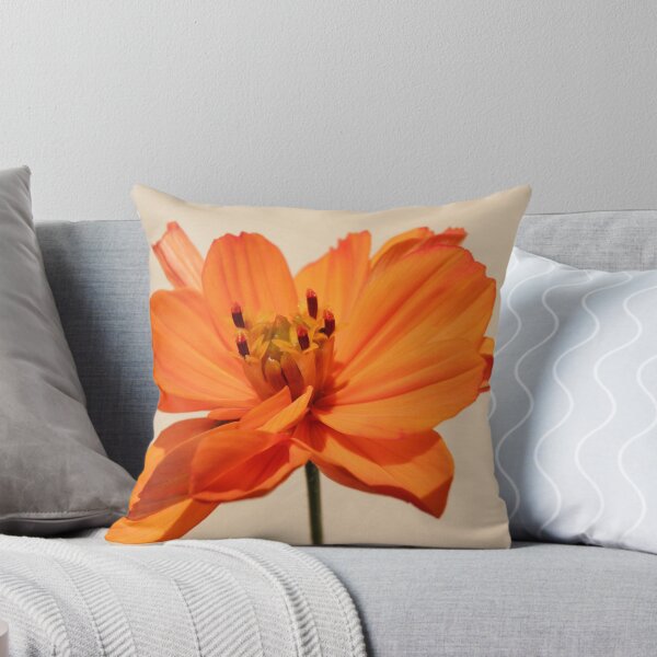 Item preview, cosmea naranja designed and sold by birgitsfotoshop.