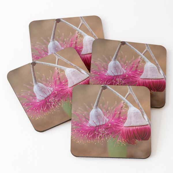 Item preview, Silver Princess Eucalyptus Caesia - Modern Native Botanical Art designed and sold by MinzMarchStudio.