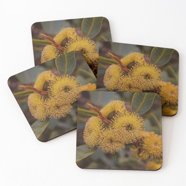 Item preview, Bell-Fruited Mallee Macro Photography – Fine Art Canvas Print designed and sold by MinzMarchStudio.