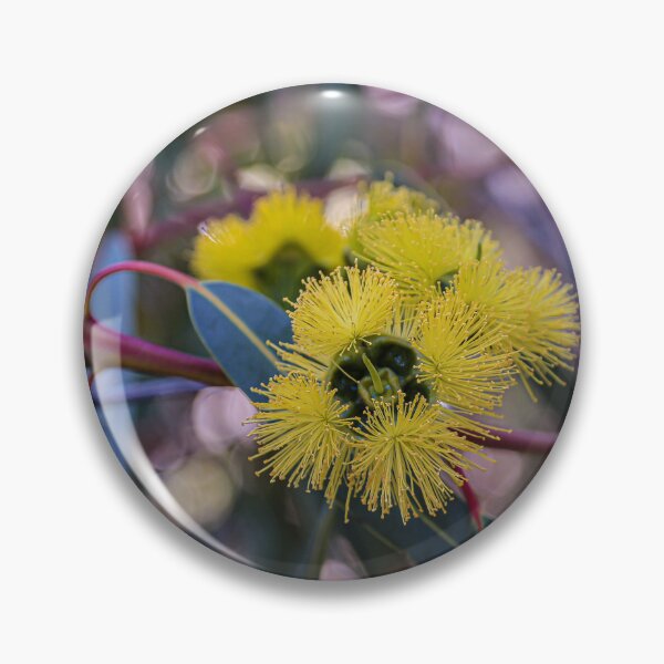 Item preview, Illyarrie Red-Capped Gum Macro Photography – Fine Art Canvas Print designed and sold by MinzMarchStudio.