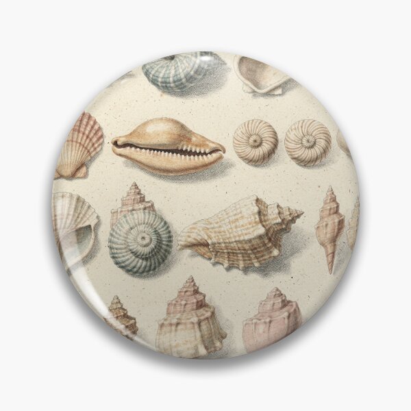 Item preview, Vintage Seashell Conchology Specimen Plate designed and sold by PictorialWhimsy.