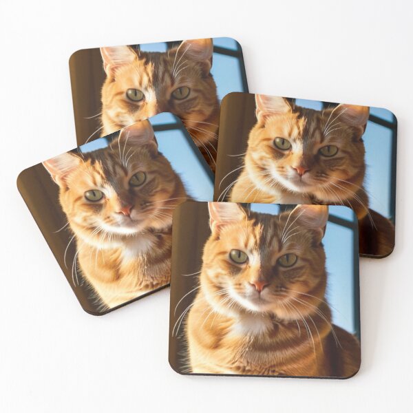 Item preview, Animals - Ginger Tabby Cat, Golden Light and Intense Gaze designed and sold by World-Pets.