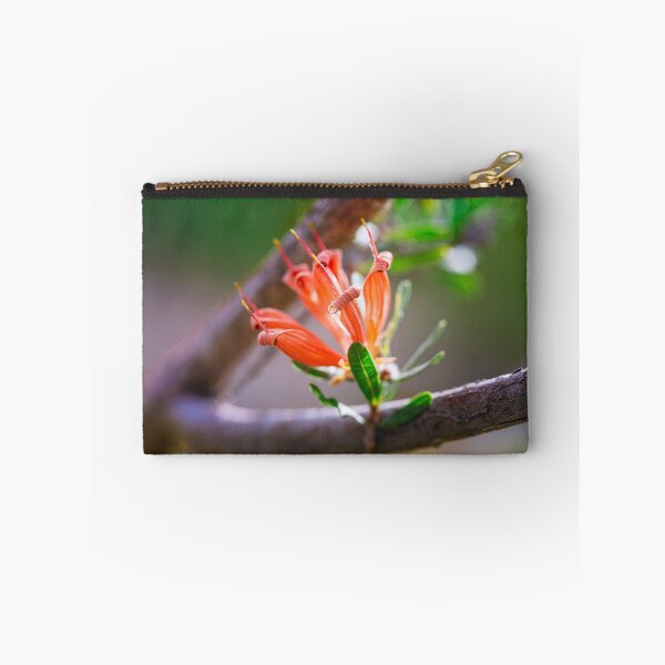 Item preview, Many-Flowered Honeysuckle Lambertia Multiflora  II - Fine Art designed and sold by MinzMarchStudio.