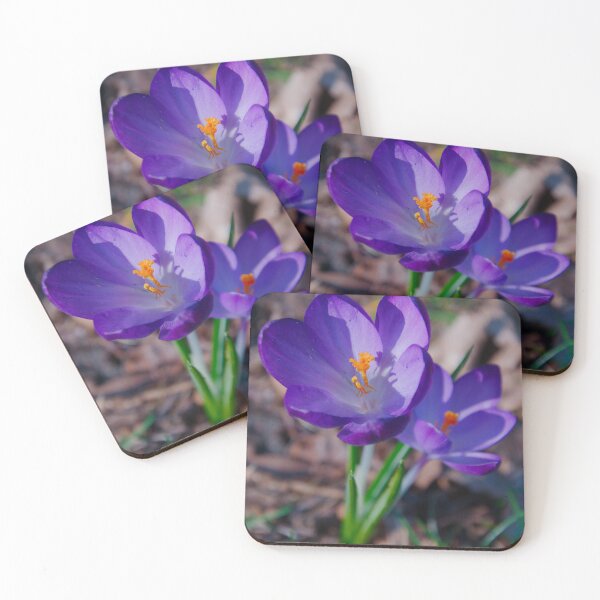 Item preview, Sunlit Pair of Purple Crocus Flowers designed and sold by ShotsbyDesiree.