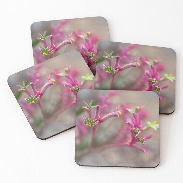 Item preview, Australian Pink Kangaroo Paw - Velvety Bush Pearl  designed and sold by MinzMarchStudio.