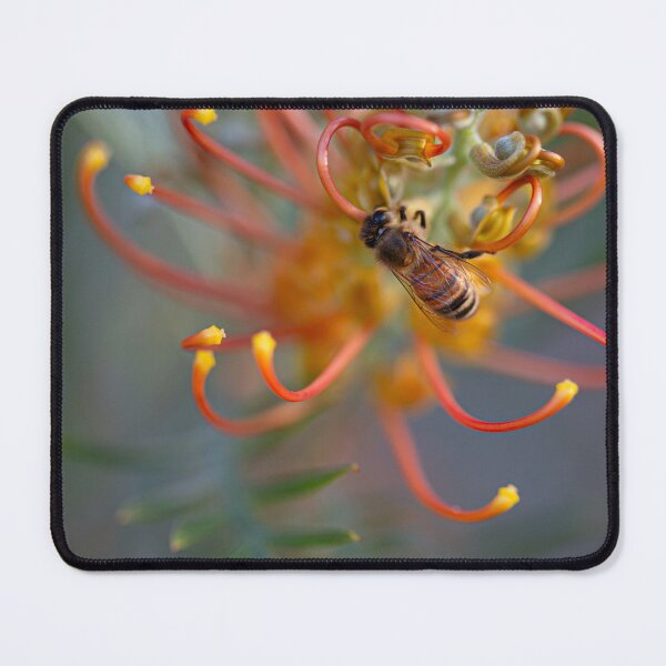Item preview, Buzzing Bee Feeding on Grevillea designed and sold by MinzMarchStudio.