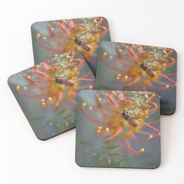 Item preview, Buzzing Bee Feeding on Grevillea designed and sold by MinzMarchStudio.