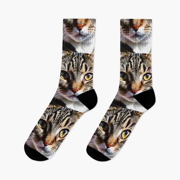 Item preview, Animals - Grey and White Tabby Cat, Hypnotic and Intense Gaze designed and sold by World-Pets.