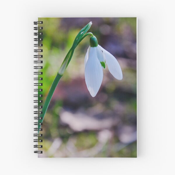 Item preview, Elegant White Snowdrop Flower designed and sold by ShotsbyDesiree.