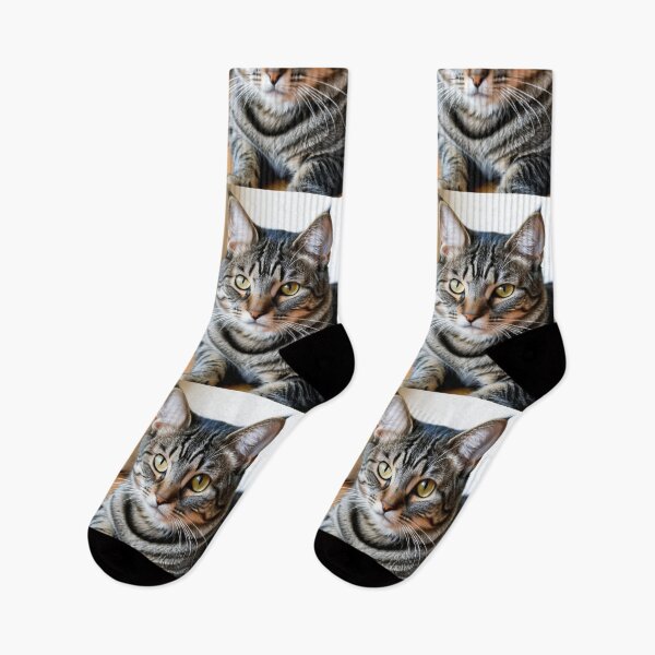Item preview, Animals - Grey Tabby Cat, Realistic Portrait with Amber Gaze designed and sold by World-Pets.