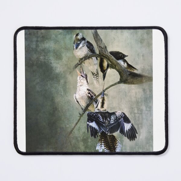 Item preview, Feathered Bonds – Australian Kookaburra Family designed and sold by Marie Helyar Art & Keepsakes.
