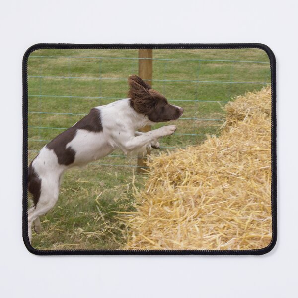 Item preview, Jumping haybales designed and sold by Photopat.