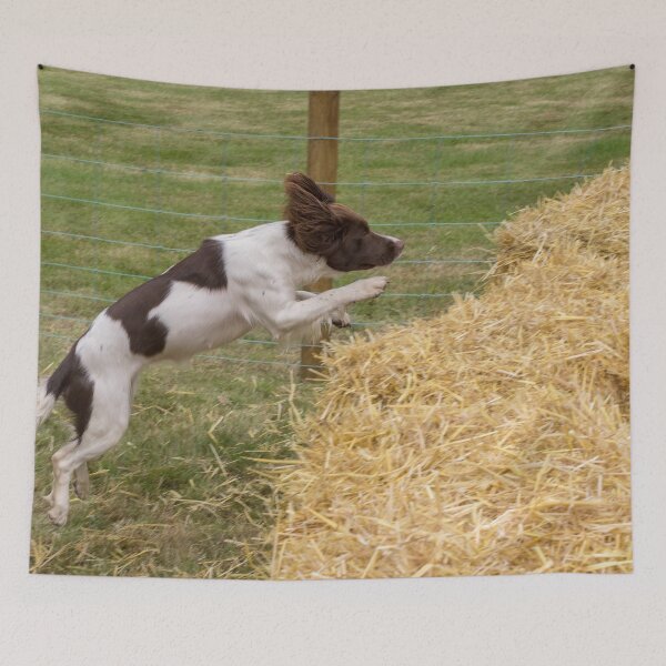 Item preview, Jumping haybales designed and sold by Photopat.