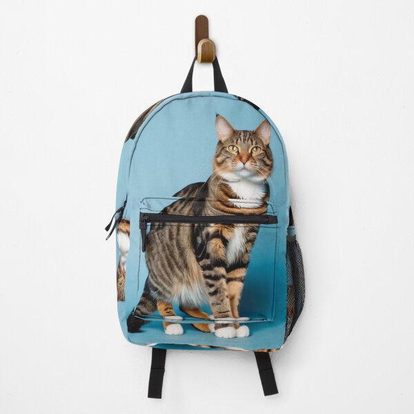 Item preview, Animals - Majestic Maine Coon Cat, Intense Gaze Studio Portrait designed and sold by World-Pets.