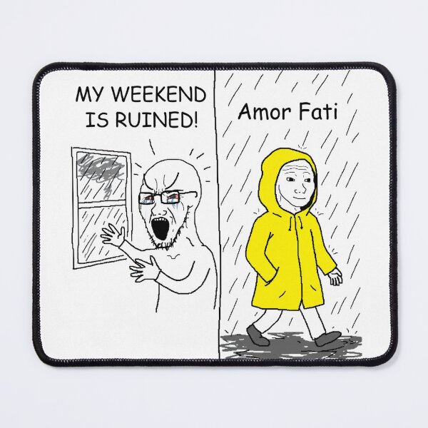Item preview, Rain Amor Fati Soyjak vs Wojak Meme Sticker designed and sold by ctbrtn.