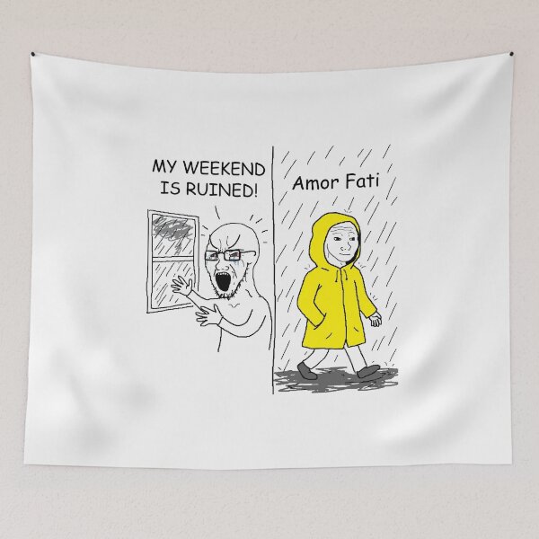 Item preview, Rain Amor Fati Soyjak vs Wojak Meme Sticker designed and sold by ctbrtn.