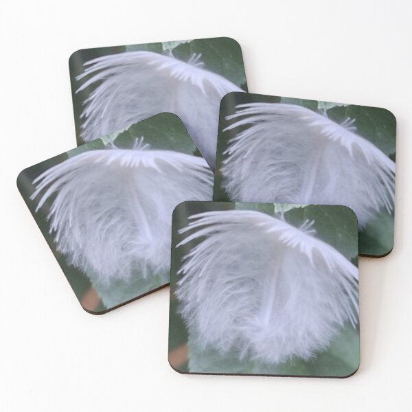 Aperçu de l'œuvre Un cadeau de la nature - Une plume blanche créée et vendue par Daisy Lane Gifts UK.