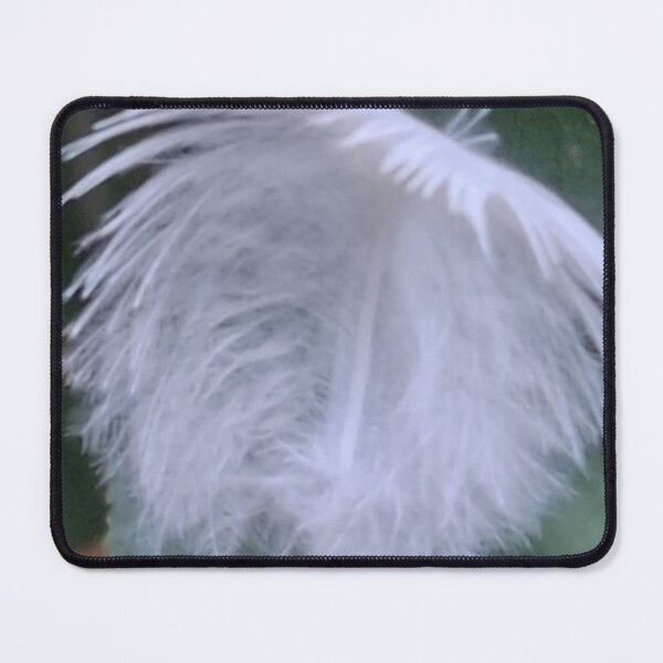 Item preview, A Gift From Nature - A White Feather designed and sold by Daisy Lane Gifts UK.