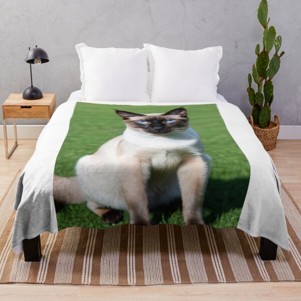 Item preview, Animals - Siamese Cat, Icy Blue Eyes and Feline Elegance designed and sold by World-Pets.
