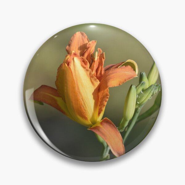 Item preview, Orange Daylily Bud and Bloom Botanical Macro Photography designed and sold by TathataPhotos.