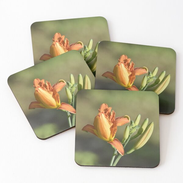 Item preview, Orange Daylily Bud and Bloom Botanical Macro Photography designed and sold by TathataPhotos.