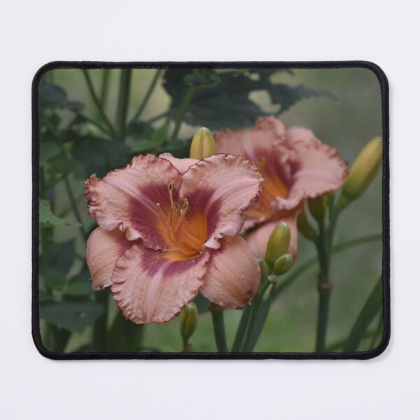 Item preview, Pink Daylily Flower Botanical Macro Photography designed and sold by TathataPhotos.