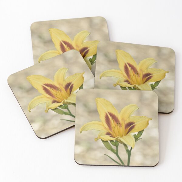 Item preview, Yellow Daylily with Maroon Throat - Soft Botanical Photography designed and sold by TathataPhotos.