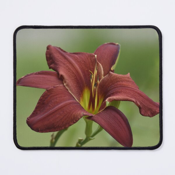Item preview, Dark Red Daylily Macro Photography - Moody Botanical Art designed and sold by TathataPhotos.