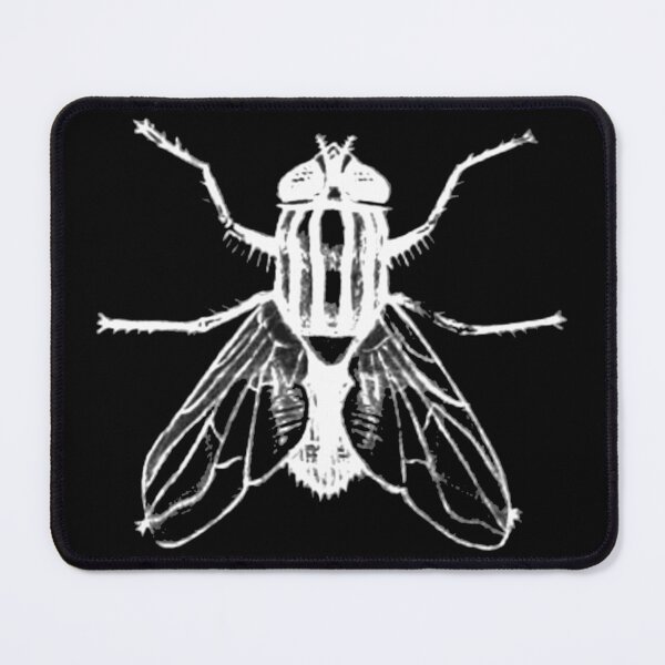 Item preview, punk fly designed and sold by weirdove.