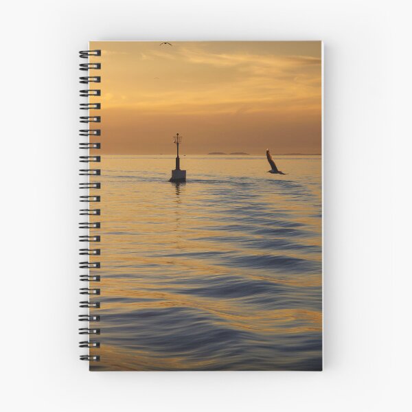 Item preview, A Seagull's Evening Flight designed and sold by Viv Thompson Photography .
