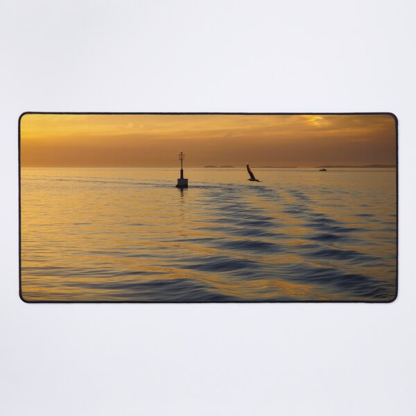 Item preview, A Seagull's Evening Flight designed and sold by Viv Thompson Photography .