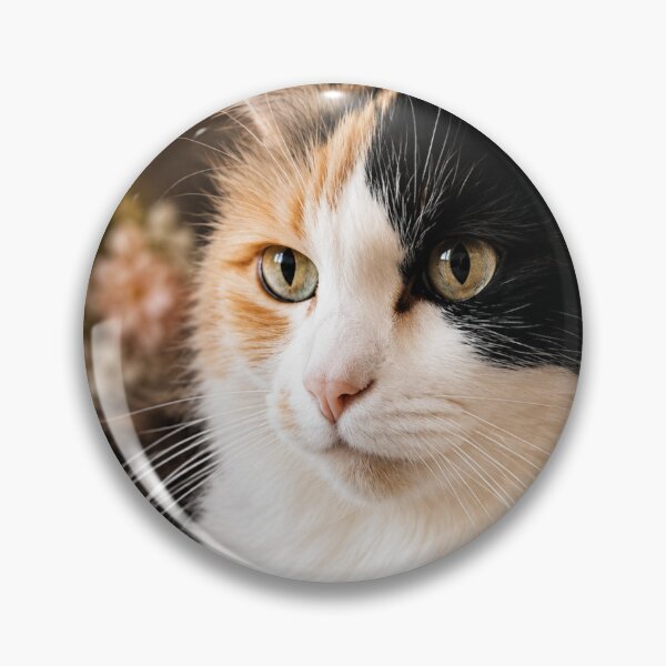 Item preview, Elegant Calico Cat Portrait – Fine Art Feline Photography designed and sold by Kimberly Palmer.