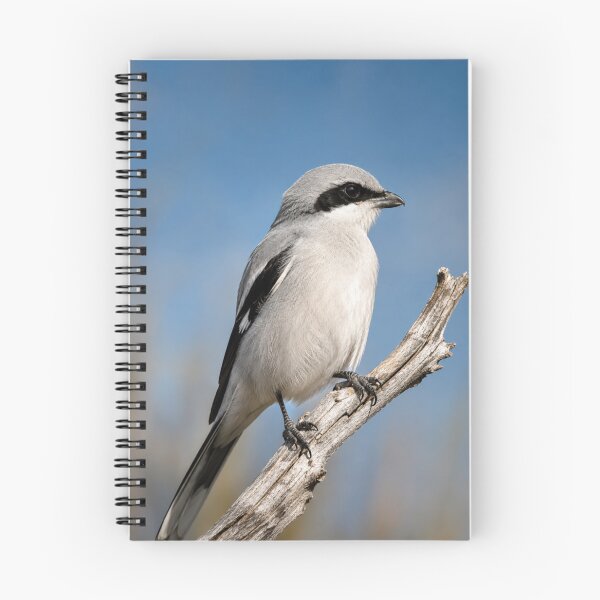 Item preview, Silent Sentinel - Northern Shrike Wildlife Portrait designed and sold by Kimberly Palmer.