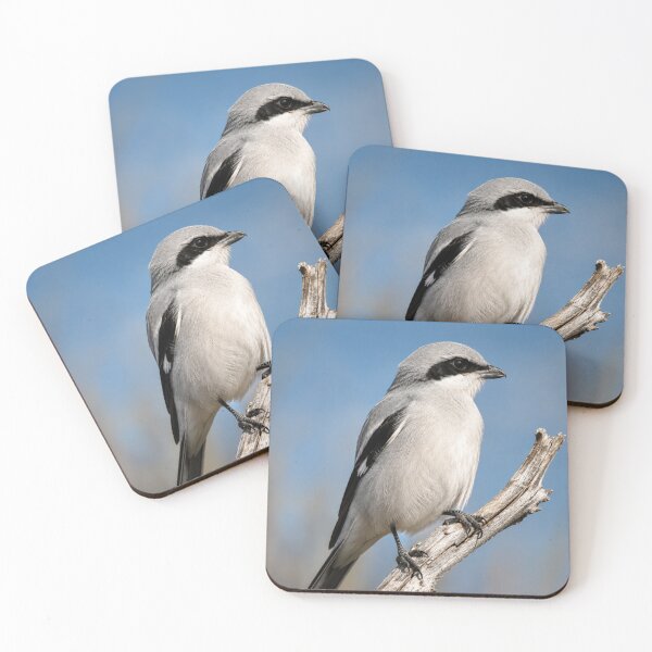 Item preview, Silent Sentinel - Northern Shrike Wildlife Portrait designed and sold by Kimberly Palmer.