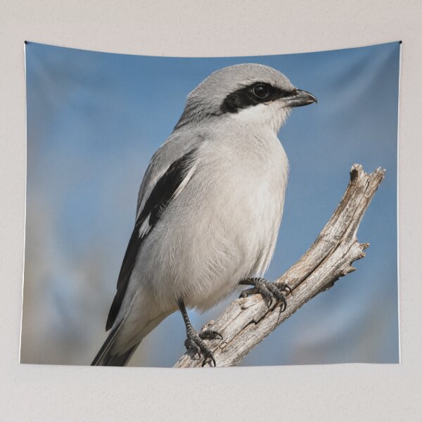 Item preview, Silent Sentinel - Northern Shrike Wildlife Portrait designed and sold by Kimberly Palmer.