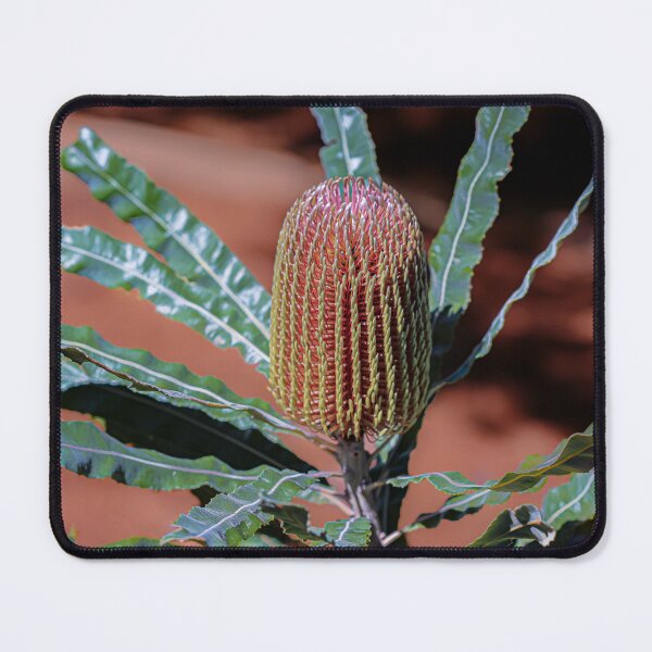 Item preview, Firewood Banksia – Fine Art Canvas Print designed and sold by MinzMarchStudio.