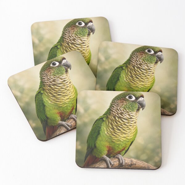 Item preview, Maroon-Bellied Conure Fine Art Portrait | Colorful Parrot Photography designed and sold by Kimberly Palmer.