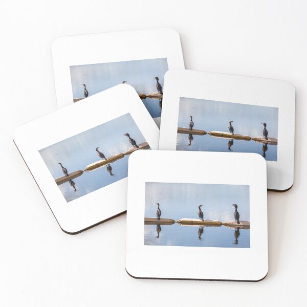 Item preview, Threes a Crowd, Cormorants designed and sold by heidipics.